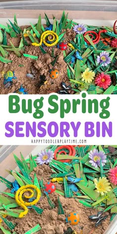 Spring Bug Sensory Bin for Kids - HAPPY TODDLER PLAYTIME