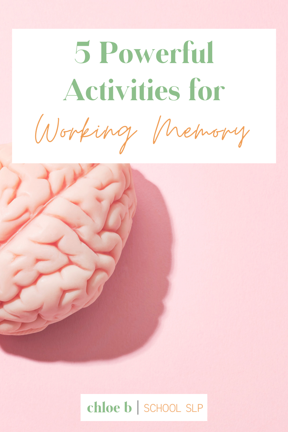 Working Memory Activities 1 